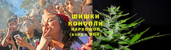 ПСИЛОЦИБИНОВЫЕ ГРИБЫ Верея