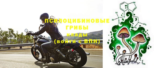 трава Верхнеуральск
