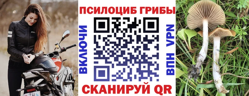 Галлюциногенные грибы Magic Shrooms  наркота  Ипатово 
